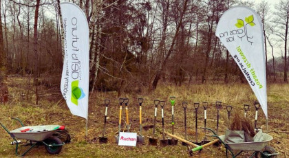 1000 drzew na Pierwszy Dzień Wiosny w gminie Mieścisko